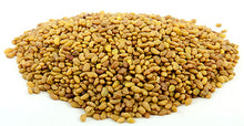 Load image into Gallery viewer, Green Habit Healthy &amp; Nutritious Alfalfa Seeds - Green Habit